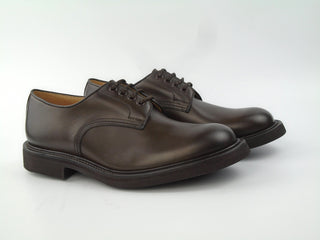 Daniel Derby Shoe - Espresso