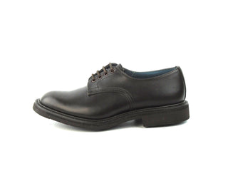 Daniel Derby Shoe - Dark Brown Pampus