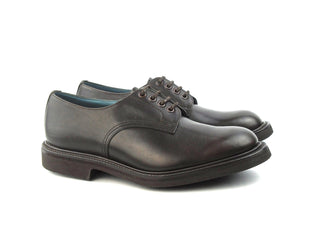 Daniel Derby Shoe - Dark Brown Pampus