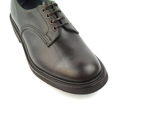 Daniel Derby Shoe - Dark Brown Pampus