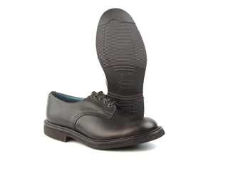 Daniel Derby Shoe - Dark Brown Pampus
