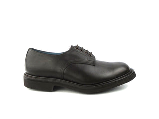 Daniel Derby Shoe - Dark Brown Pampus