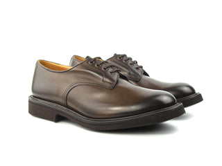 Daniel Derby Shoe - Espresso Burnished