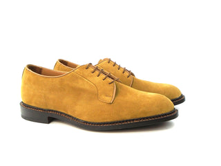 Robert Derby Shoe - Cashew Castorino Suede