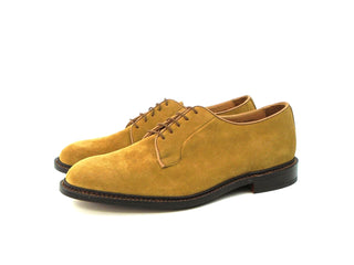 Robert Derby Shoe - Cashew Castorino Suede