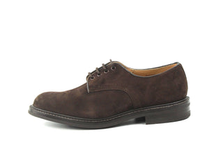 Daniel Derby Shoe - Coffee Castorino Suede