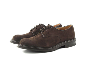 Daniel Derby Shoe - Coffee Castorino Suede