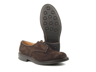 Daniel Derby Shoe - Coffee Castorino Suede