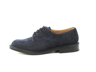 Daniel Derby Shoe - Navy Suede (Training Sample)