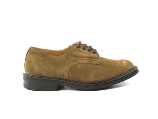 Daniel Derby Shoe - New Brown Suede (Training Sample)