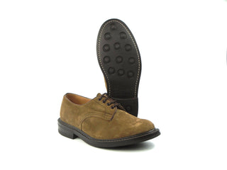 Daniel Derby Shoe - New Brown Suede (Training Sample)